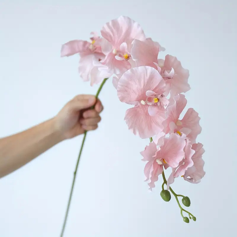 Long Branch Butterfly Orchids  - Christmas Wreath Fake avis et prix