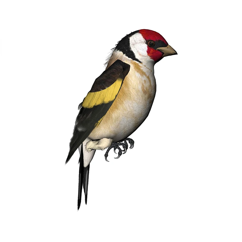 New Design for Tinsel Finches  - Tinsel Garland Decoration avis et prix